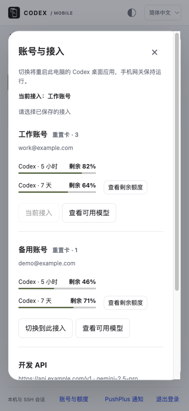 账号和额度，随手查看（示例数据）